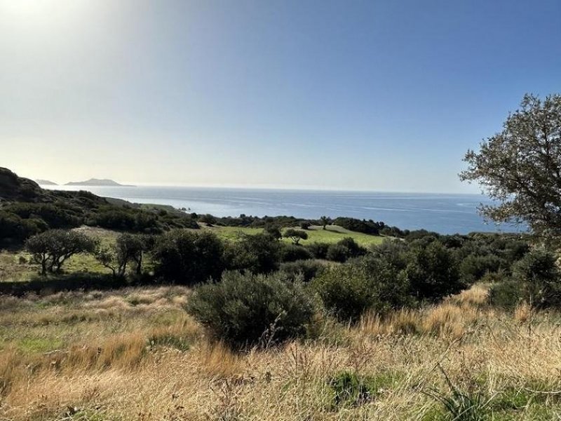 Triopetra Kreta, Triopetra: Grundstück mit Meerblick zu verkaufen Grundstück kaufen